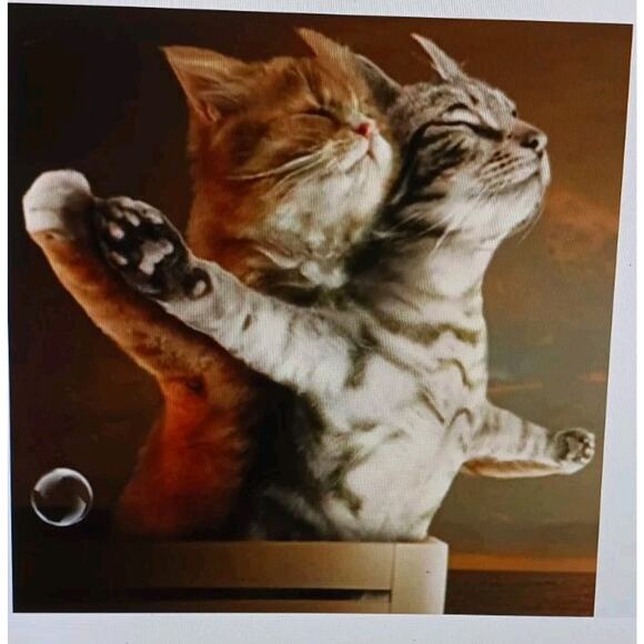 5D Diamond Painting Kit Titanic Cats Round Full Drill Rose & Jack 30cmx30cm NEW - Picture 1 of 2